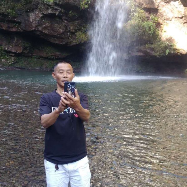 年轻森槿的照片