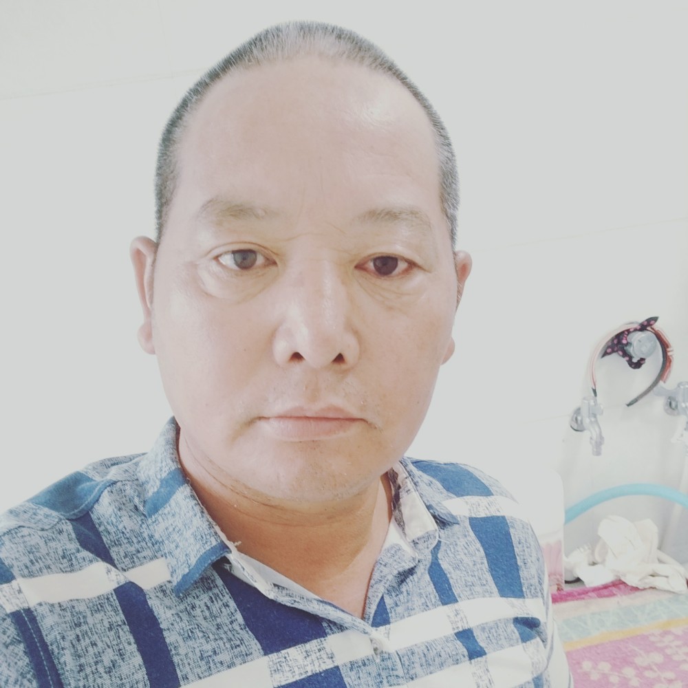 1辈子旳有大树的照片