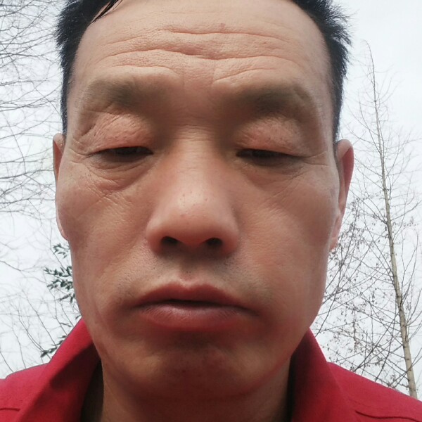 快乐的心情的照片