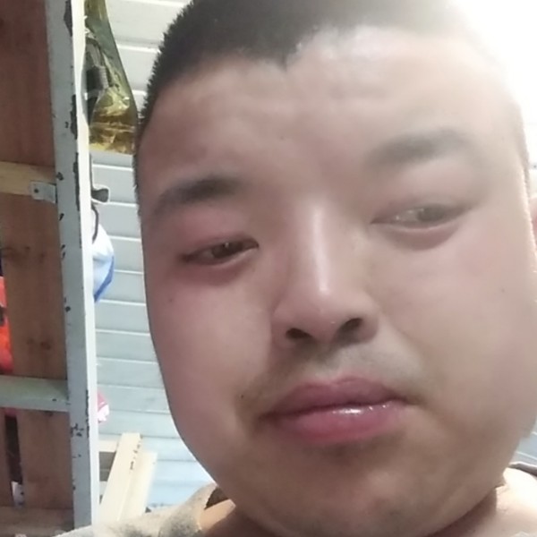 含羞草闻甜美的照片