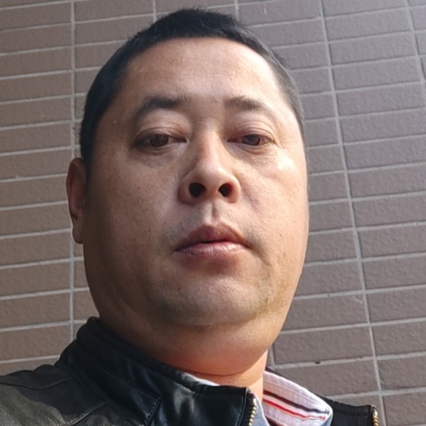 黑猫傲娇的照片
