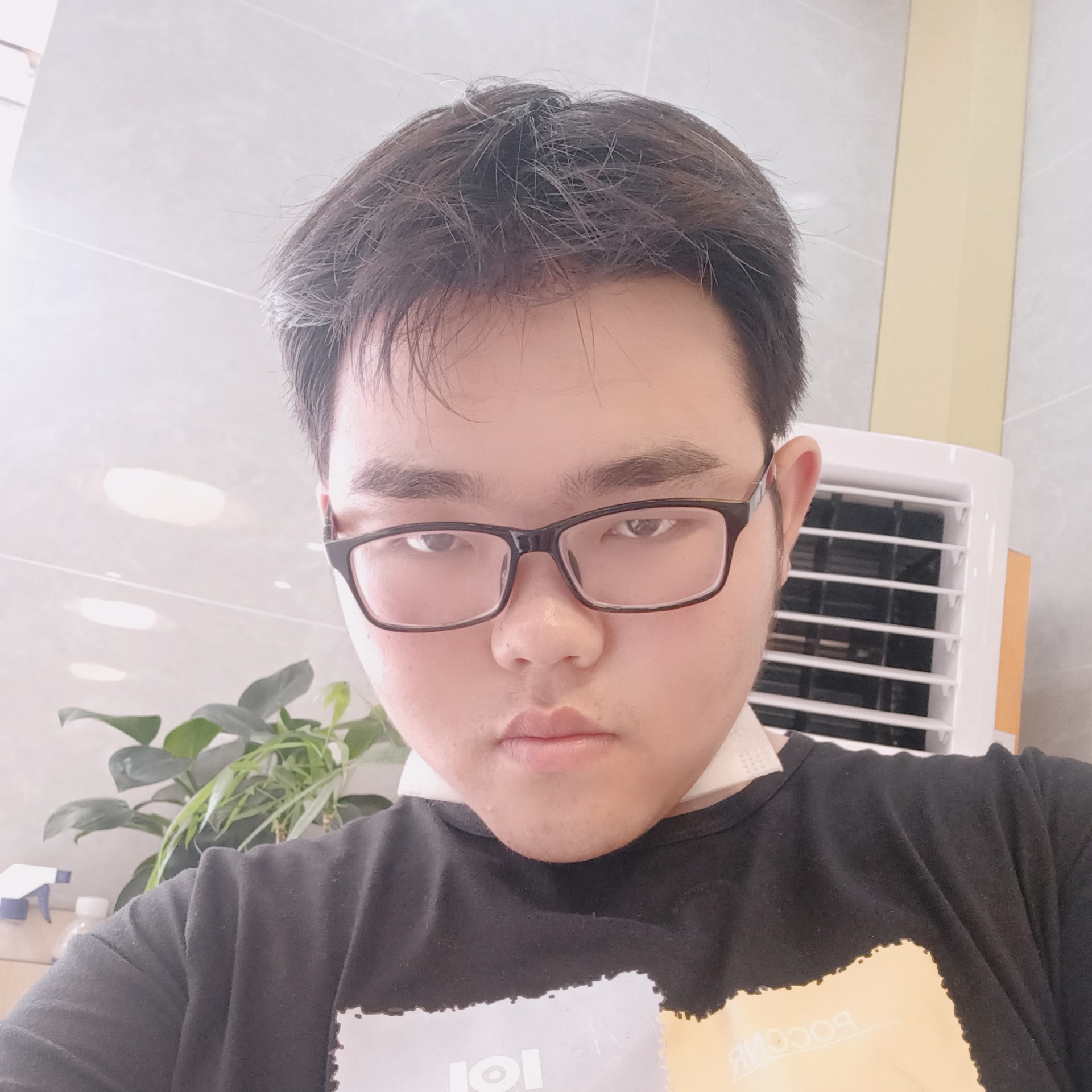 夏露凝眸典雅的照片