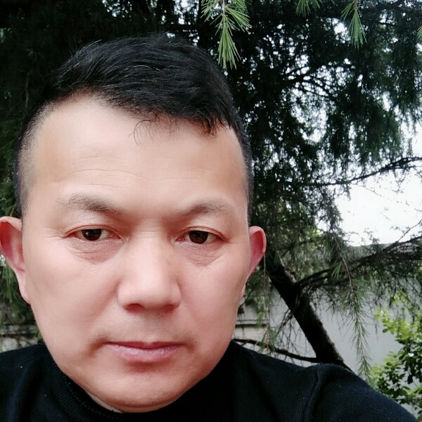 牛排多情的照片