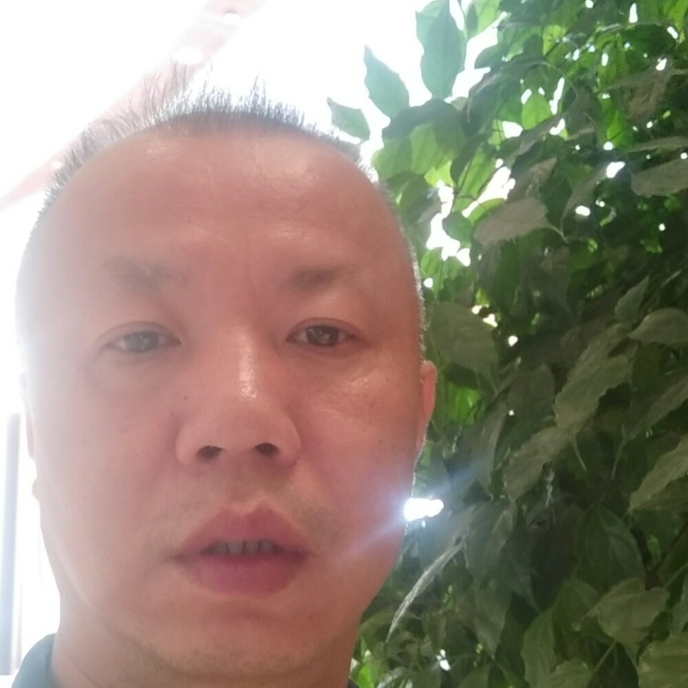 白云寺的照片