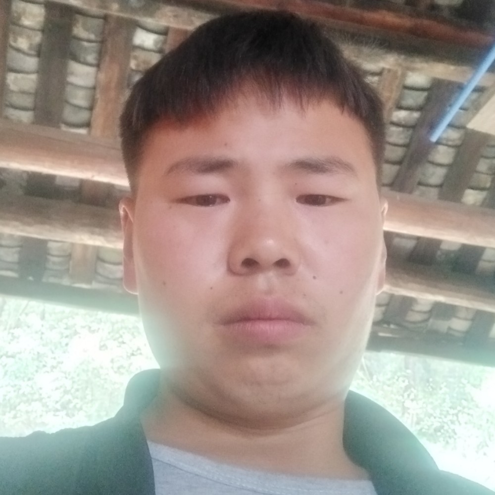 百合贪玩的照片