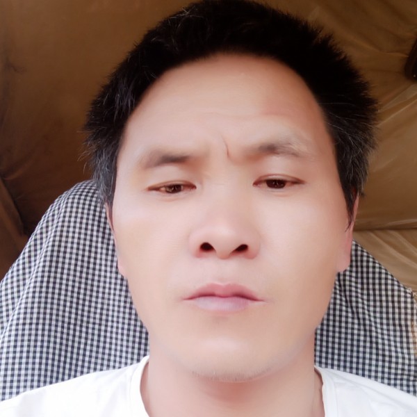 难过有树叶的照片