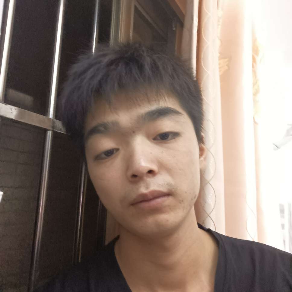 灰狼方彩色的照片