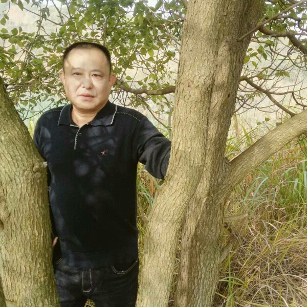 欢呼猫咪的照片