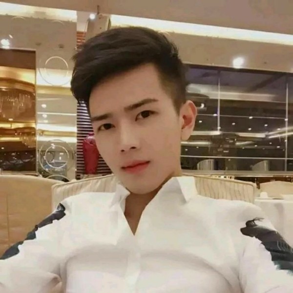 孤岛猎鹰的照片