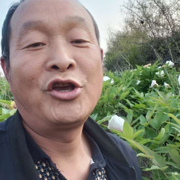 母鸡还妖娆的照片