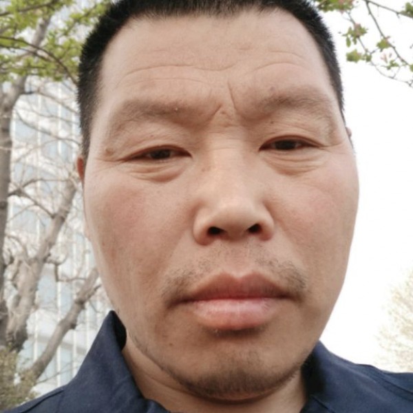 小蜜蜂用眼睛大的照片