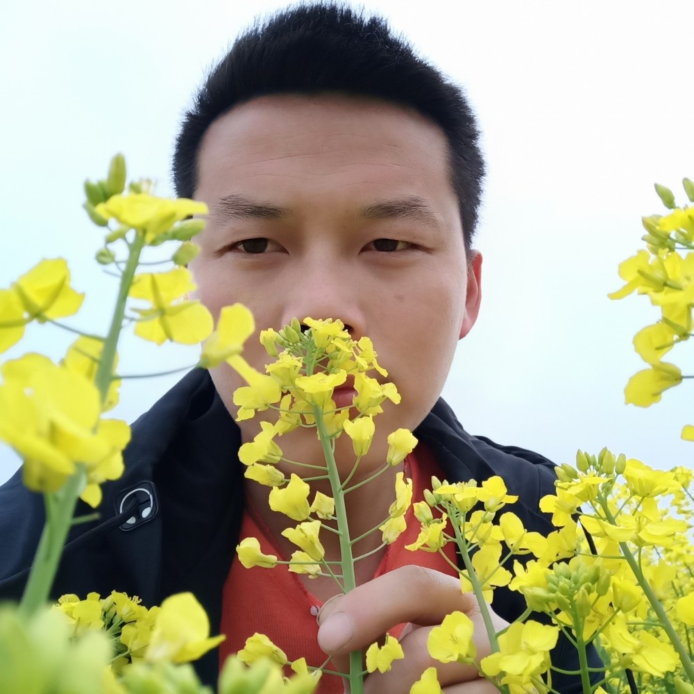 一小鐘琴的照片