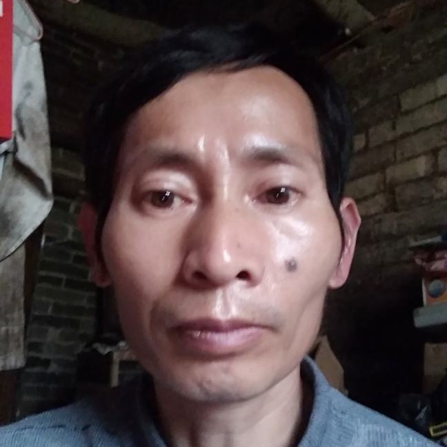 农天雁的照片