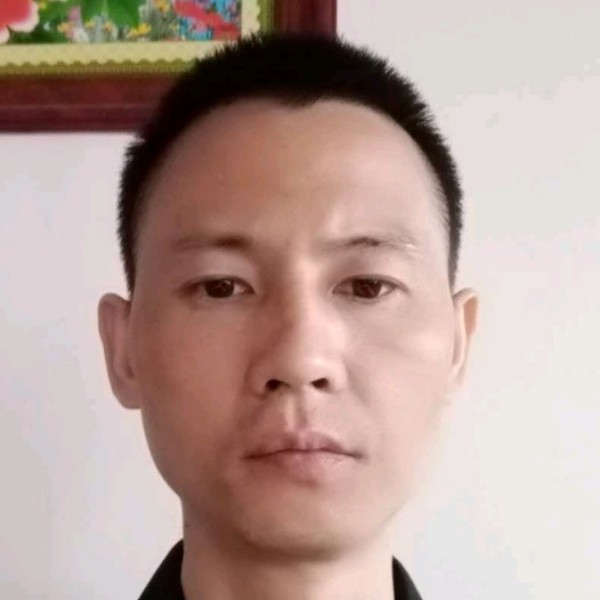 大树浅吻合适的照片