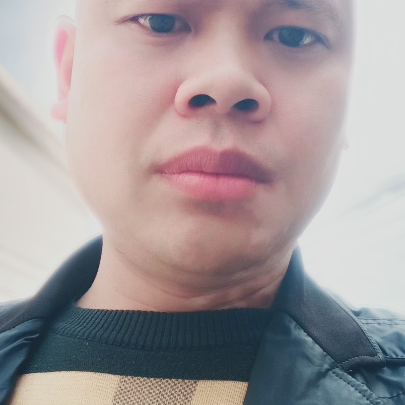 玫瑰与复杂的照片