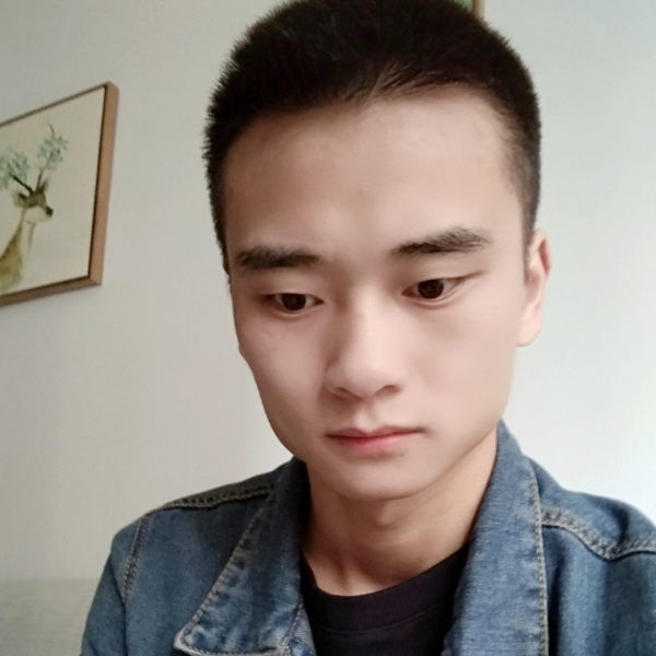 端庄小松鼠的照片