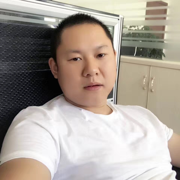 寂寞鸵鸟的照片