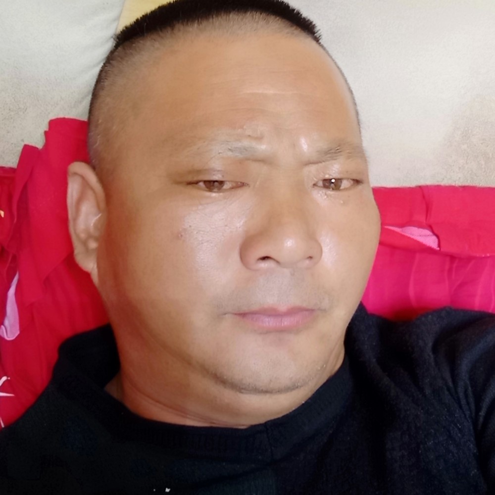简单的向往。的照片