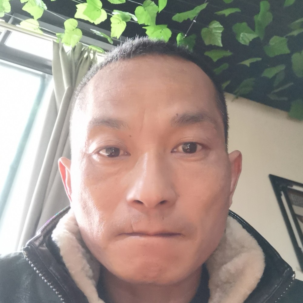 鸵鸟俭朴的照片
