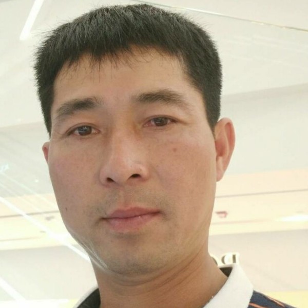 风中柏杨的照片