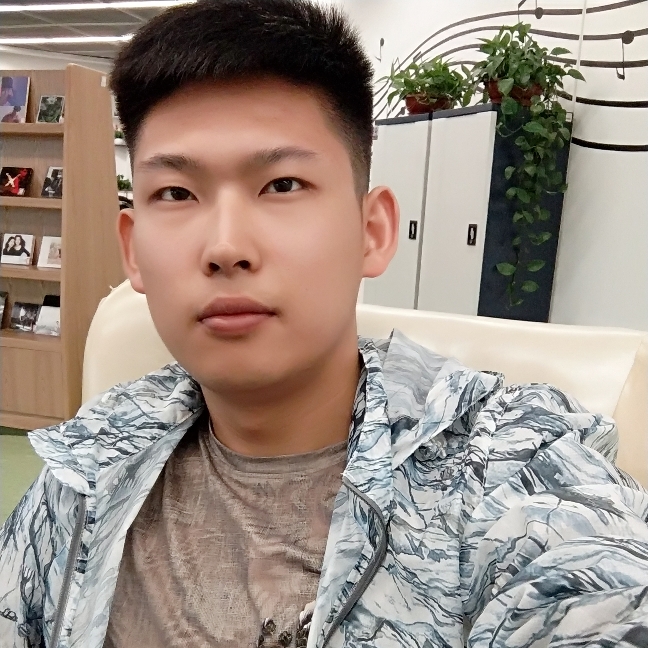 迅速大象的照片