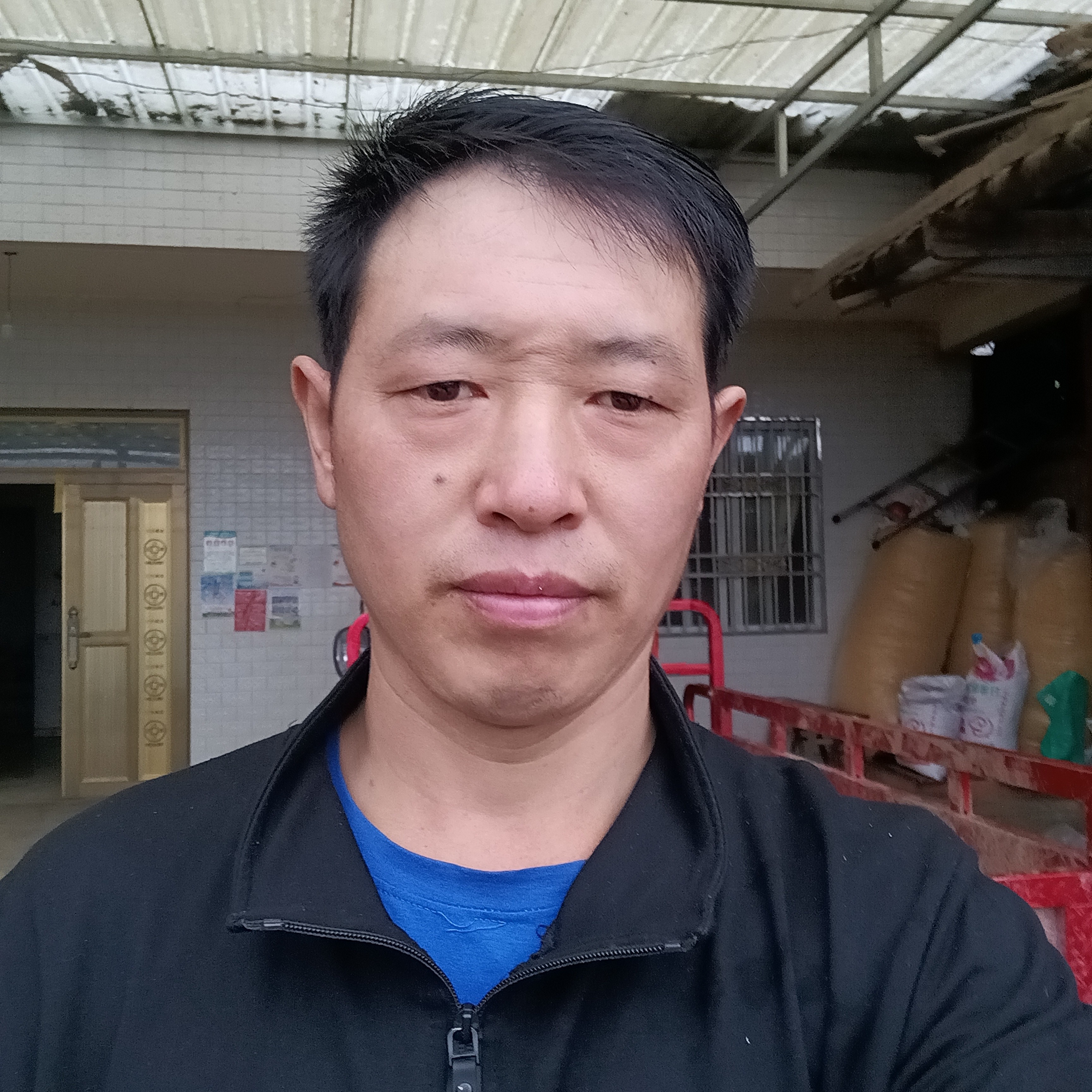 长颈鹿等待贪玩的照片