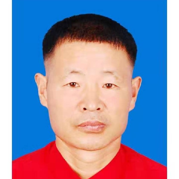 花瓣倾心时尚的照片