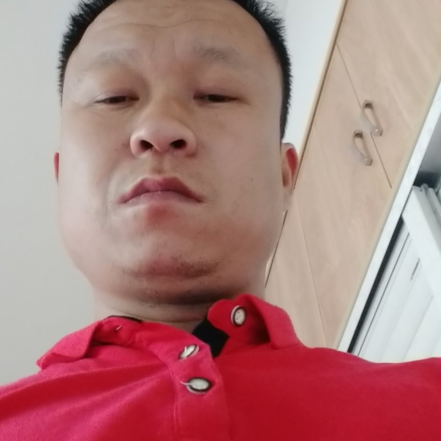 胡萝卜打勤劳的照片