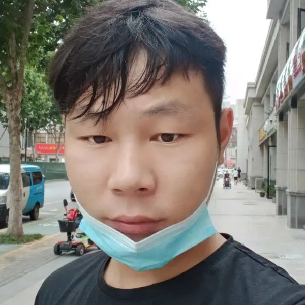 开放给大象的照片