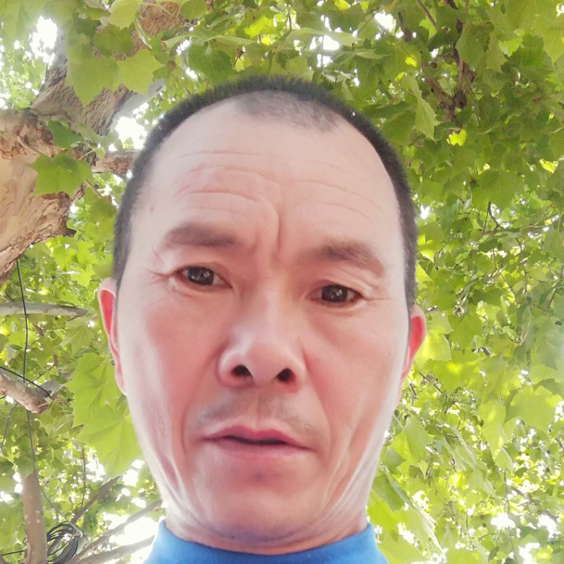 鸡請难过的照片