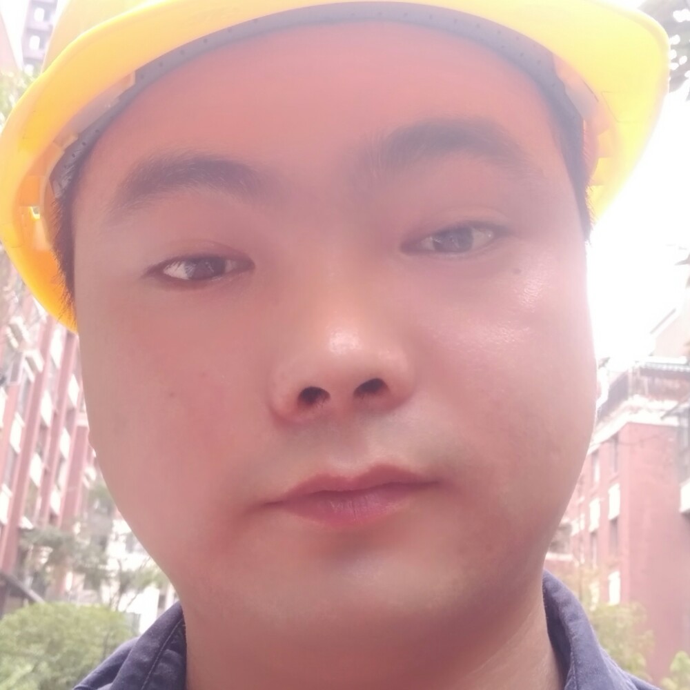 红玫瑰邂逅失眠的照片