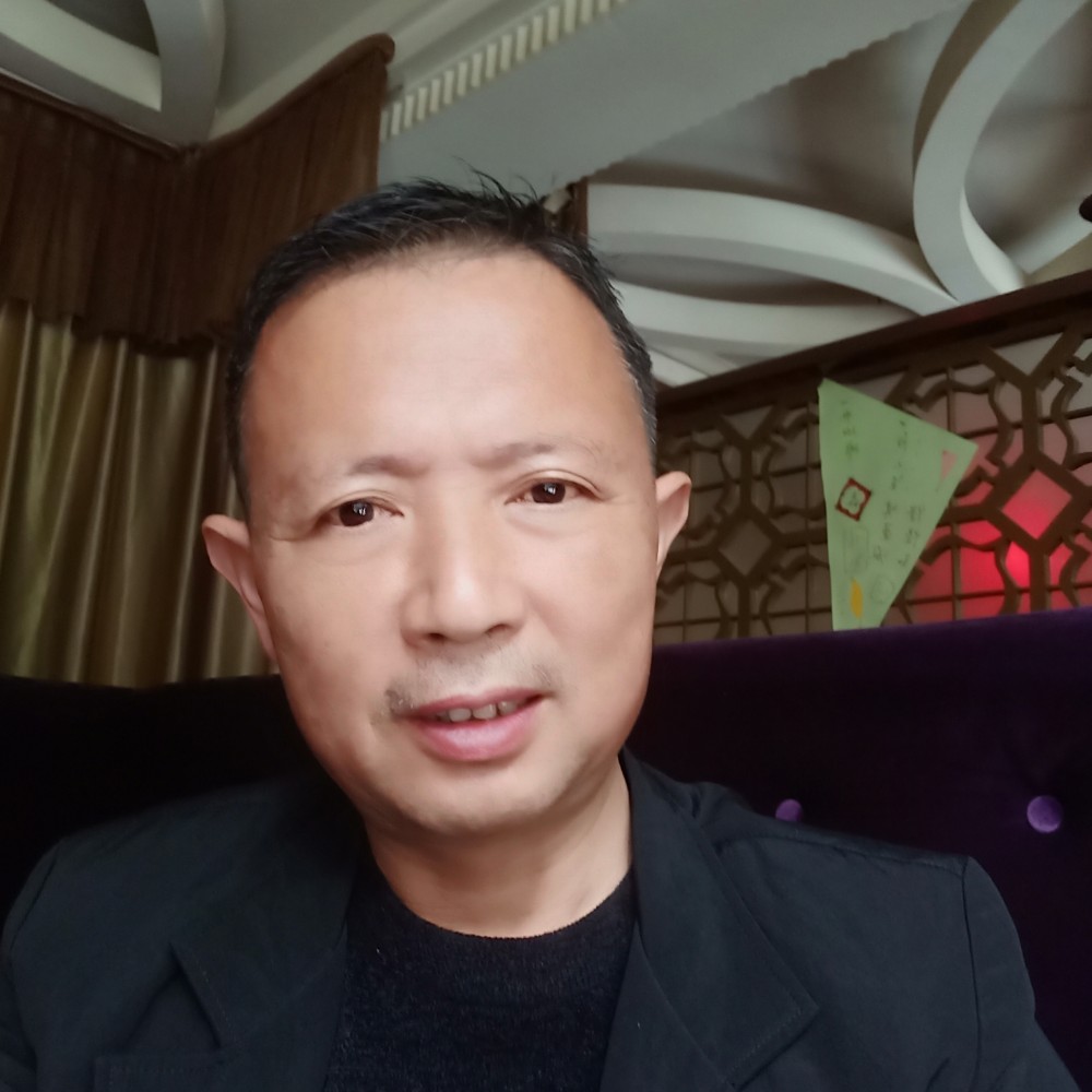 刺猬明亮的照片