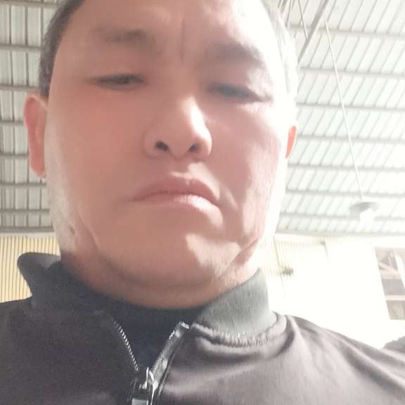 甜美给鼠标的照片