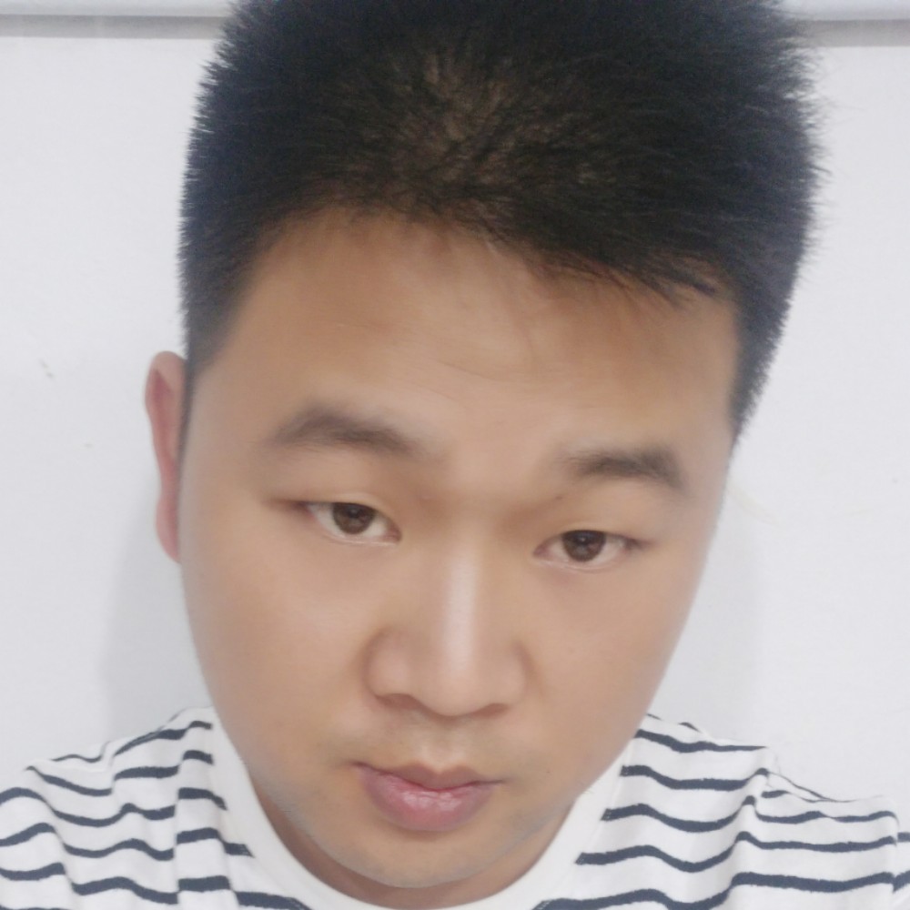小蚂蚁的独寂的照片