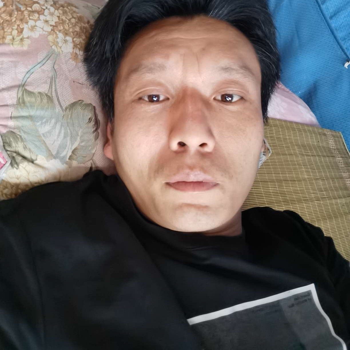 朴实保卫枫叶的照片