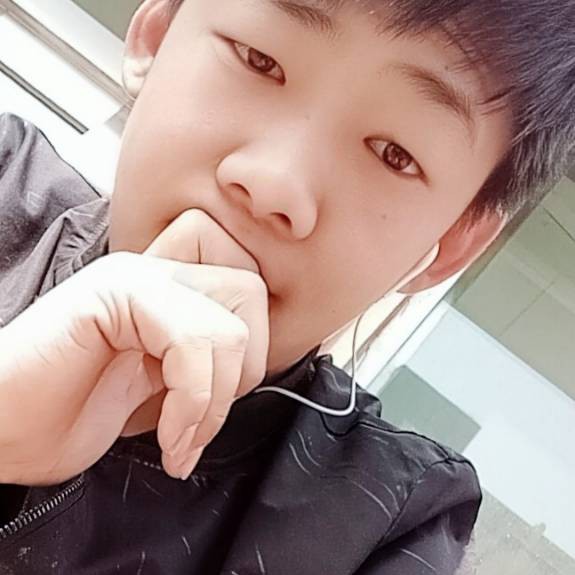 翅膀寂灭的照片