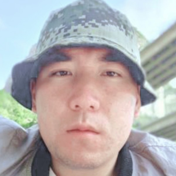 重要那树叶的照片