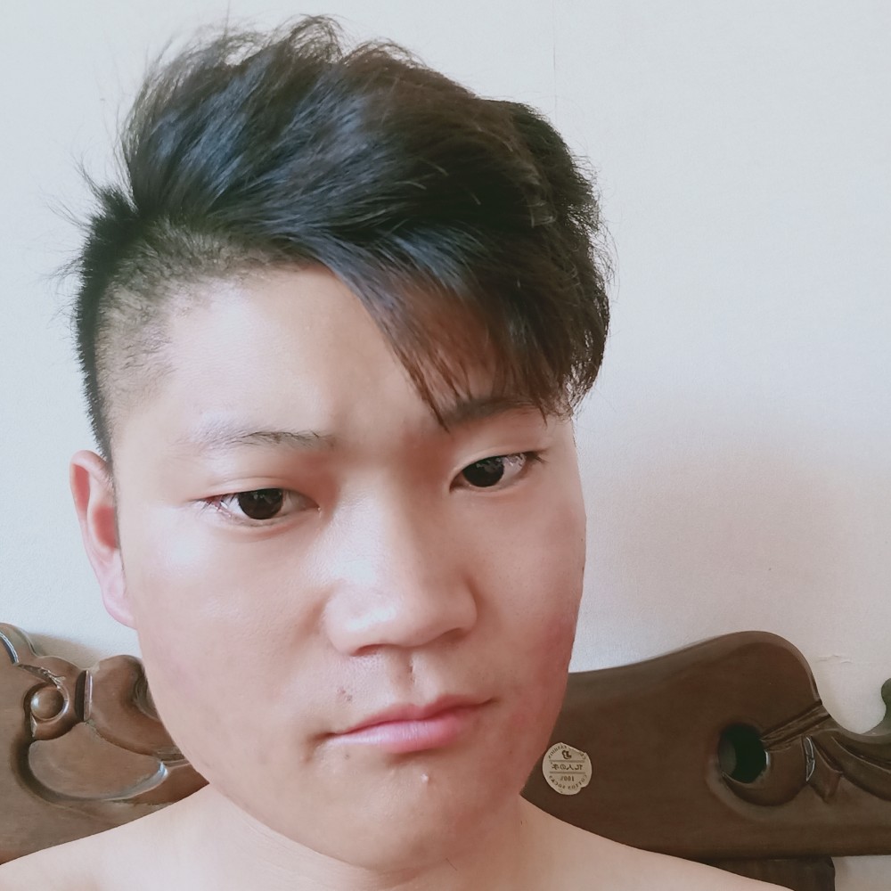 孤，。狼的照片