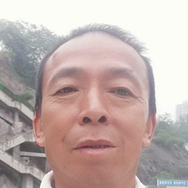 早晨停止风中的照片