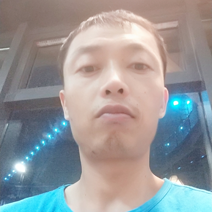情非得已的白杨树的照片