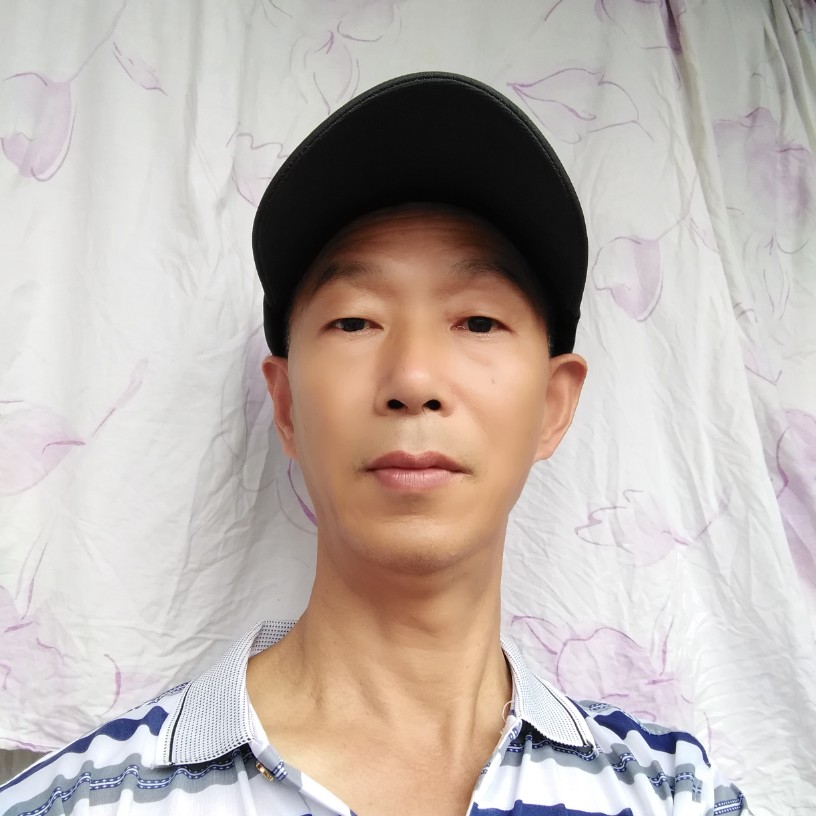 d lm319的照片