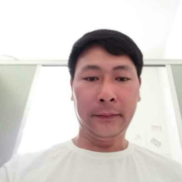 斯文草丛的照片