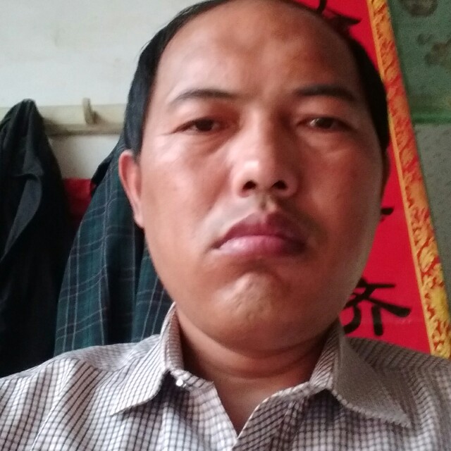 金鱼回眸健壮的照片