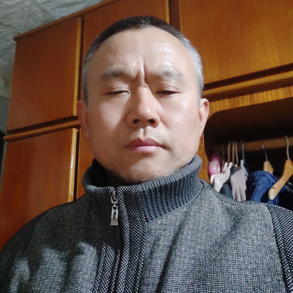 笨倔的牛的照片