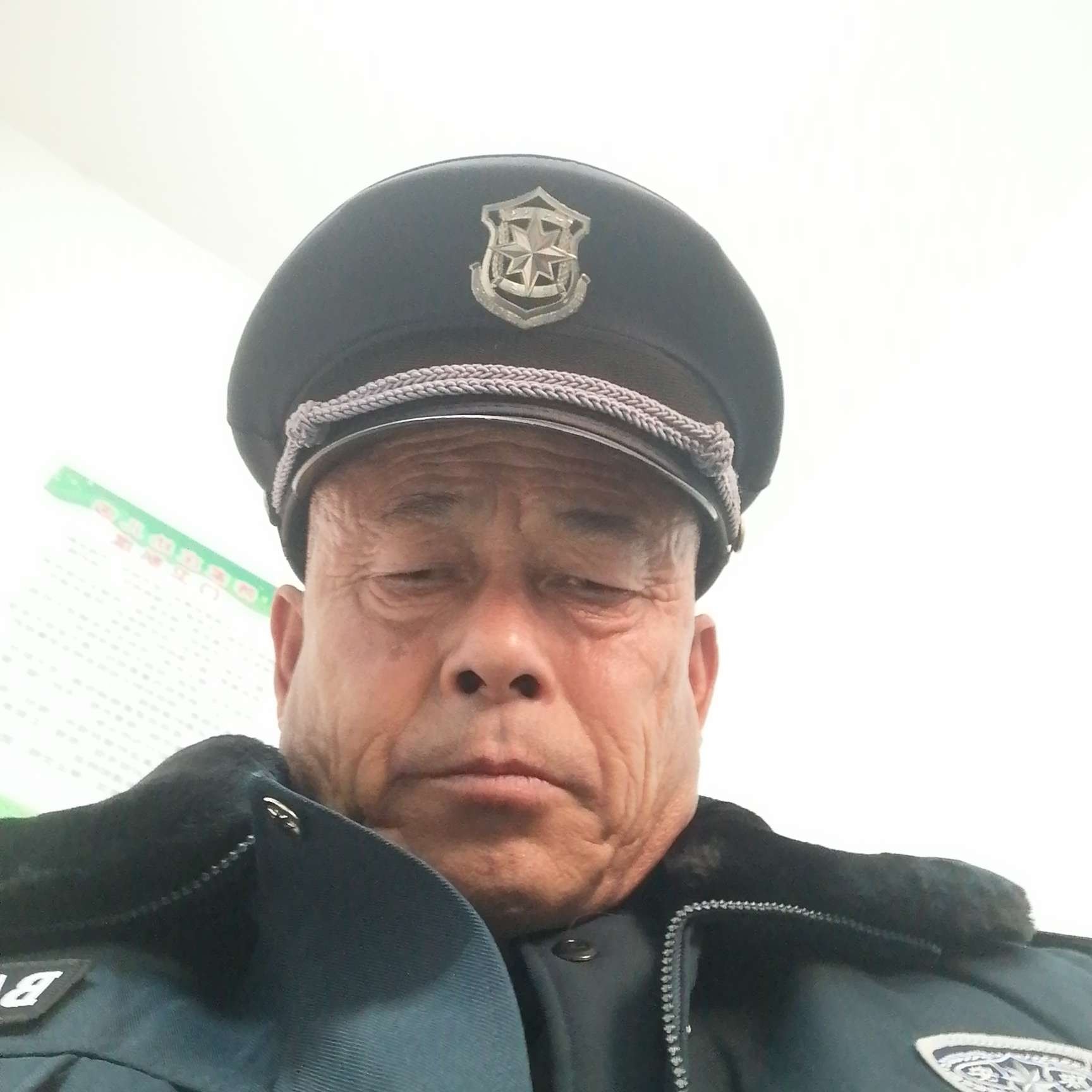 个性有野狼中的照片
