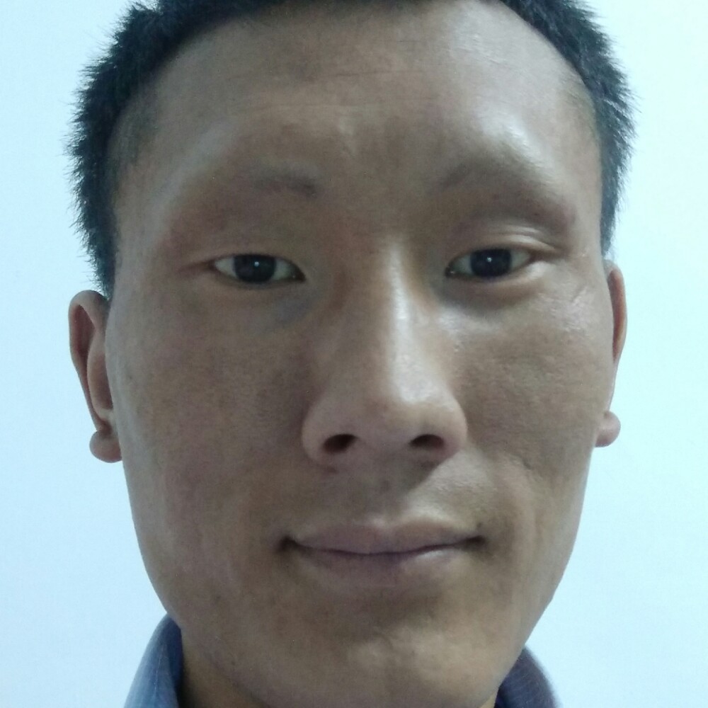阳光爱玉米的照片