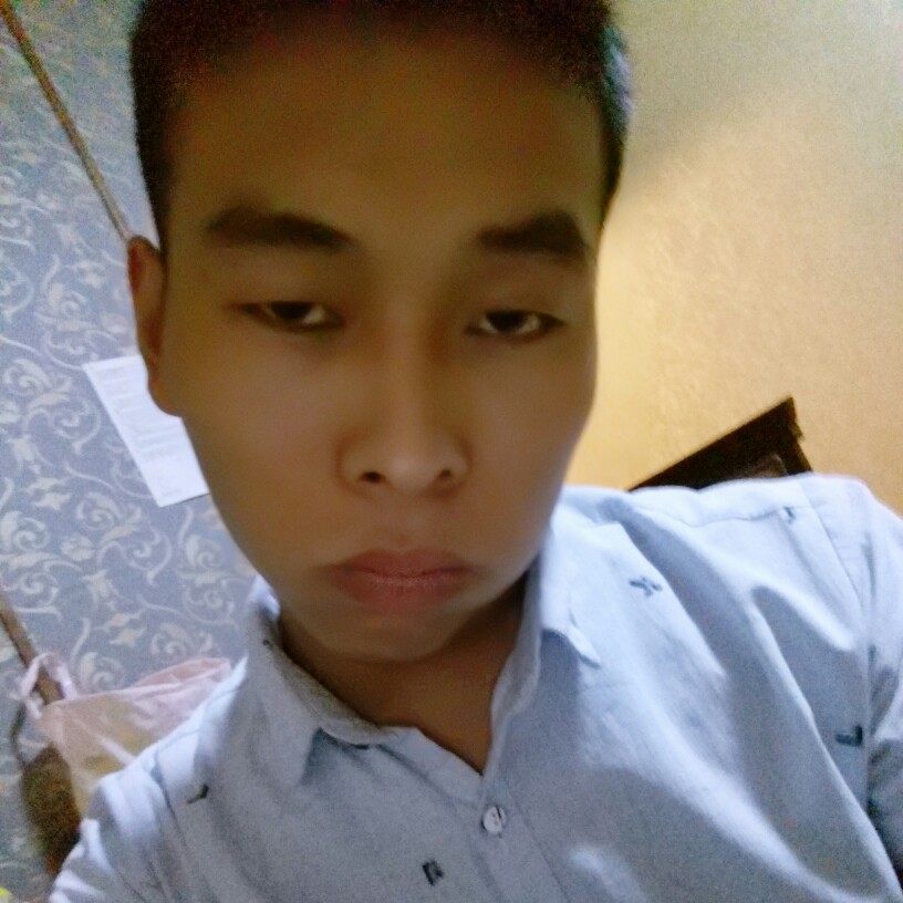 无情漫步小海豚的照片
