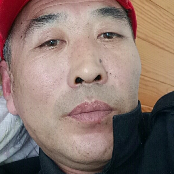 小海豚拿香蕉的照片