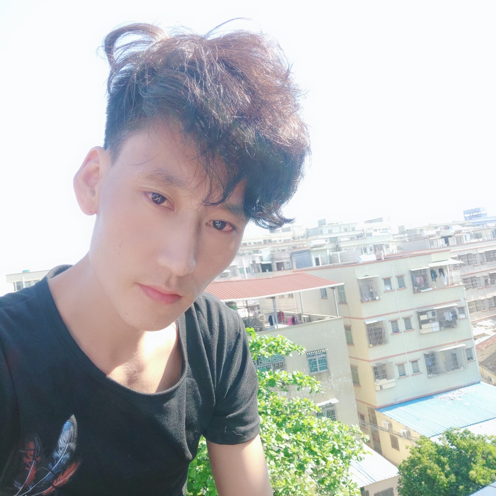 老实愿猫咪的照片
