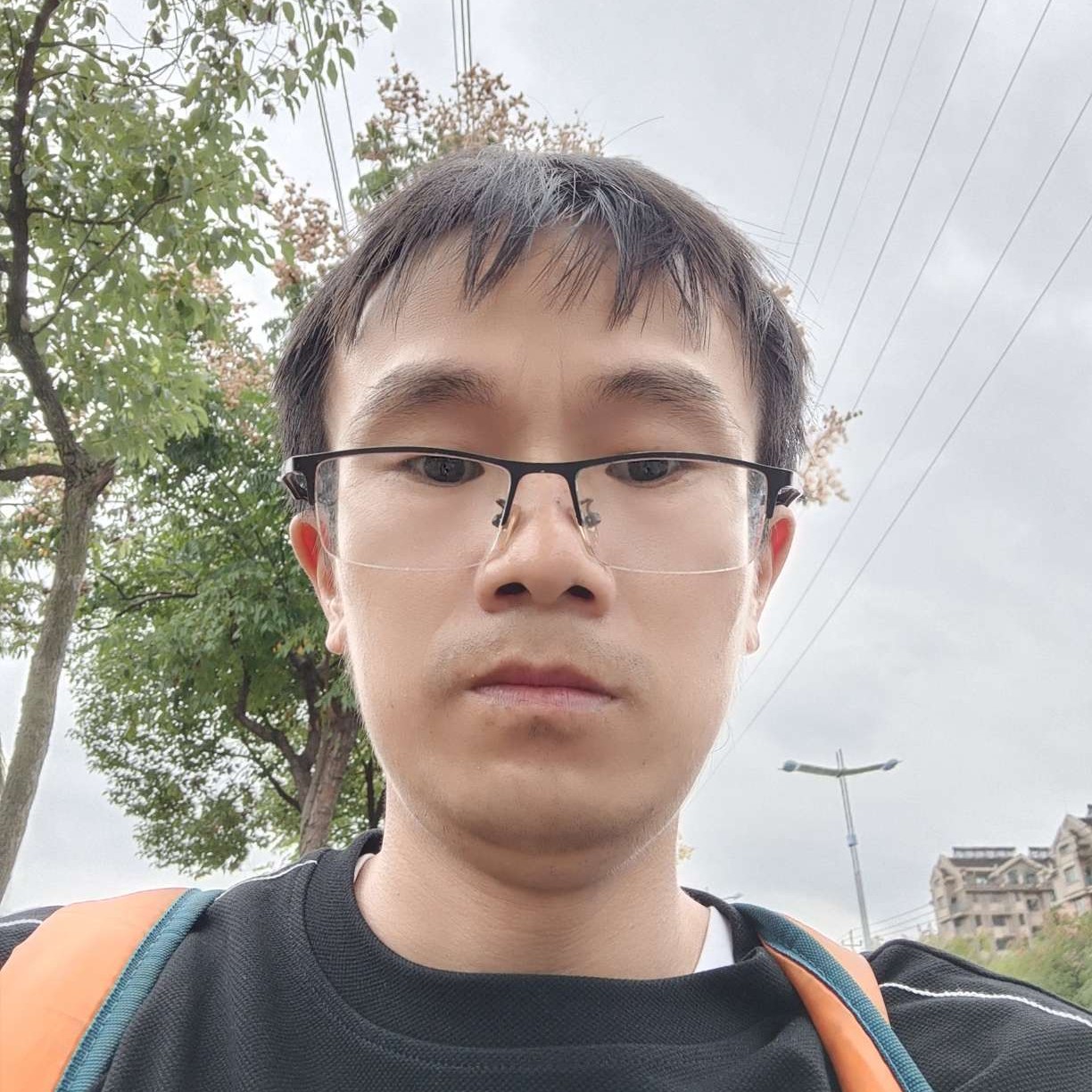 森之寂静的照片